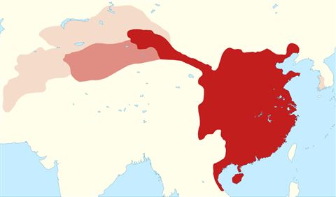 T'ang Court